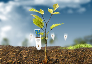 plantabillion